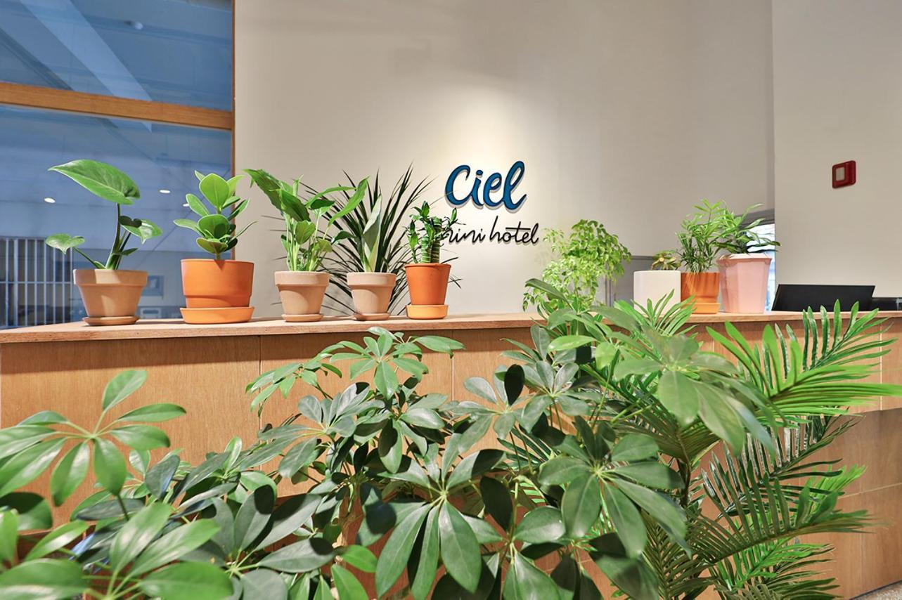 Ciel Mini Hotel كَونتو المظهر الخارجي الصورة